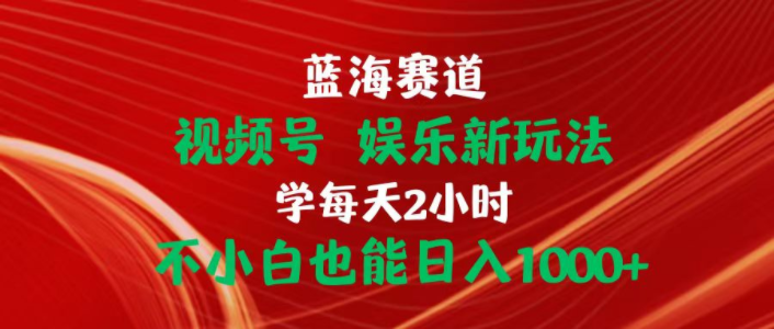 （10818期）蓝海赛道视频号 娱乐新玩法每天2小时小白也能日入1000+-优优云网创